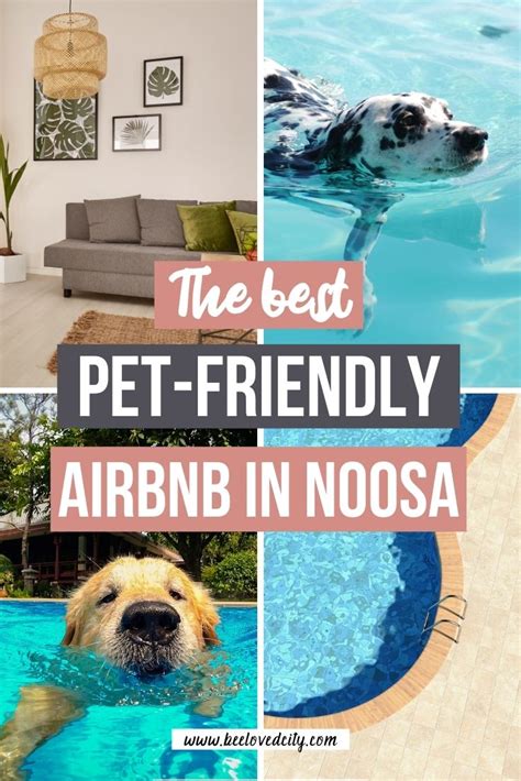 pet friendly airbnb monthly rentals.